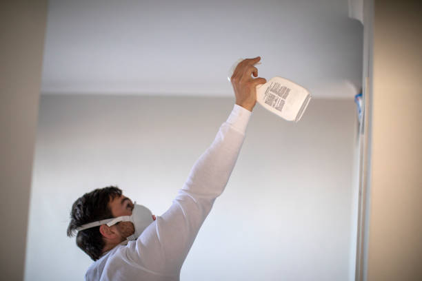 Best Professional Mold Removal  in Santa Ynez, CA