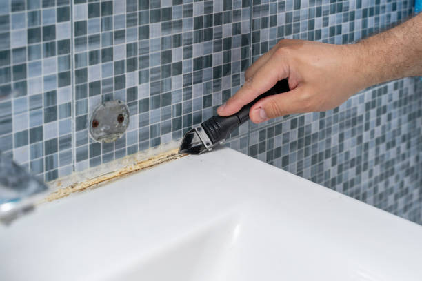 Best Black Mold Removal  in Santa Ynez, CA