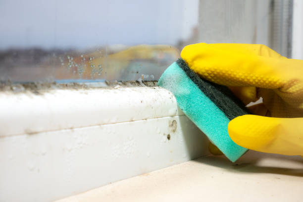Best Crawl Space Mold Removal  in Santa Ynez, CA