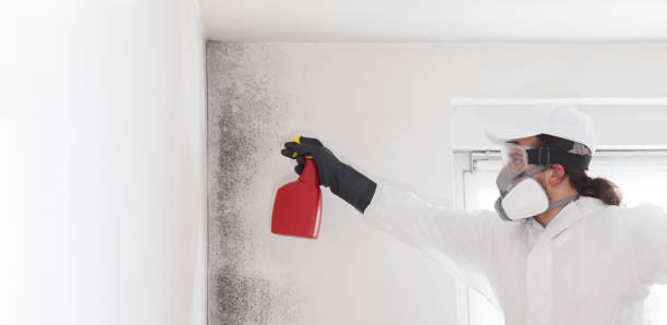 Best Emergency Mold Removal  in Santa Ynez, CA