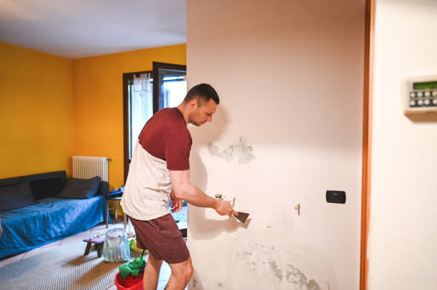 Best Crawl Space Mold Removal  in Santa Ynez, CA