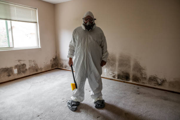 Best Mold Cleaning Services  in Santa Ynez, CA